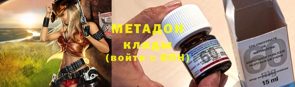 дмт Богданович