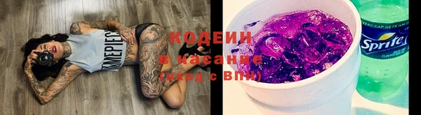 дмт Богданович