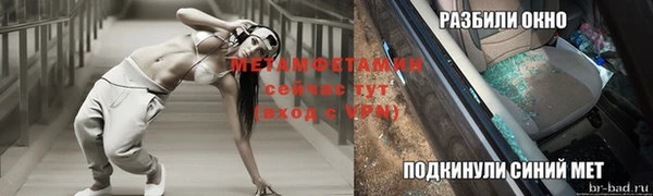 дмт Богданович