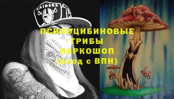 прущая мука Богородицк