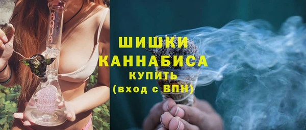 дмт Богданович