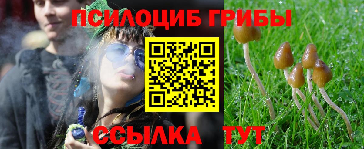 Надым  Галлюциногенные грибы мицелий  Псилоцибиновые грибы Psilocybine cubensis  Вход с VPN 