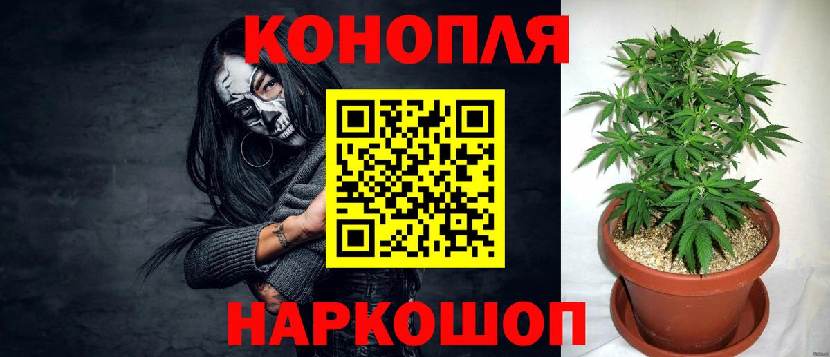 Марихуана конопля Надым